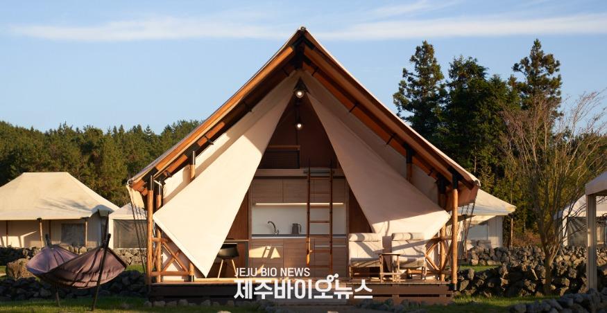 6. 스타빌1.jpg